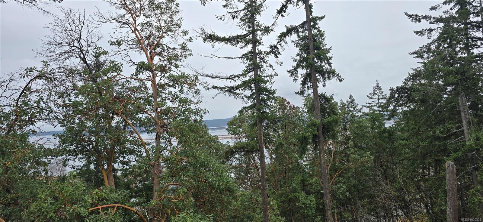 917 Harbour View St, Nanaimo, BC