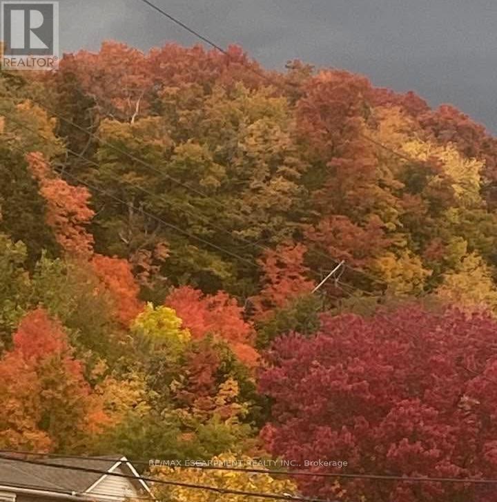 199 Kimberly Drive, Hamilton, ON - Outdoor With View