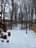 View from the Living room -