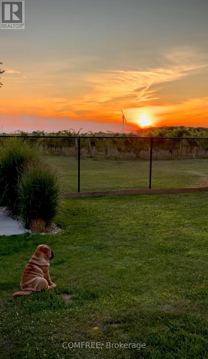 1372 Concession 6 Road, Niagara-On-The-Lake (Lakeshore), ON - Outdoor With View