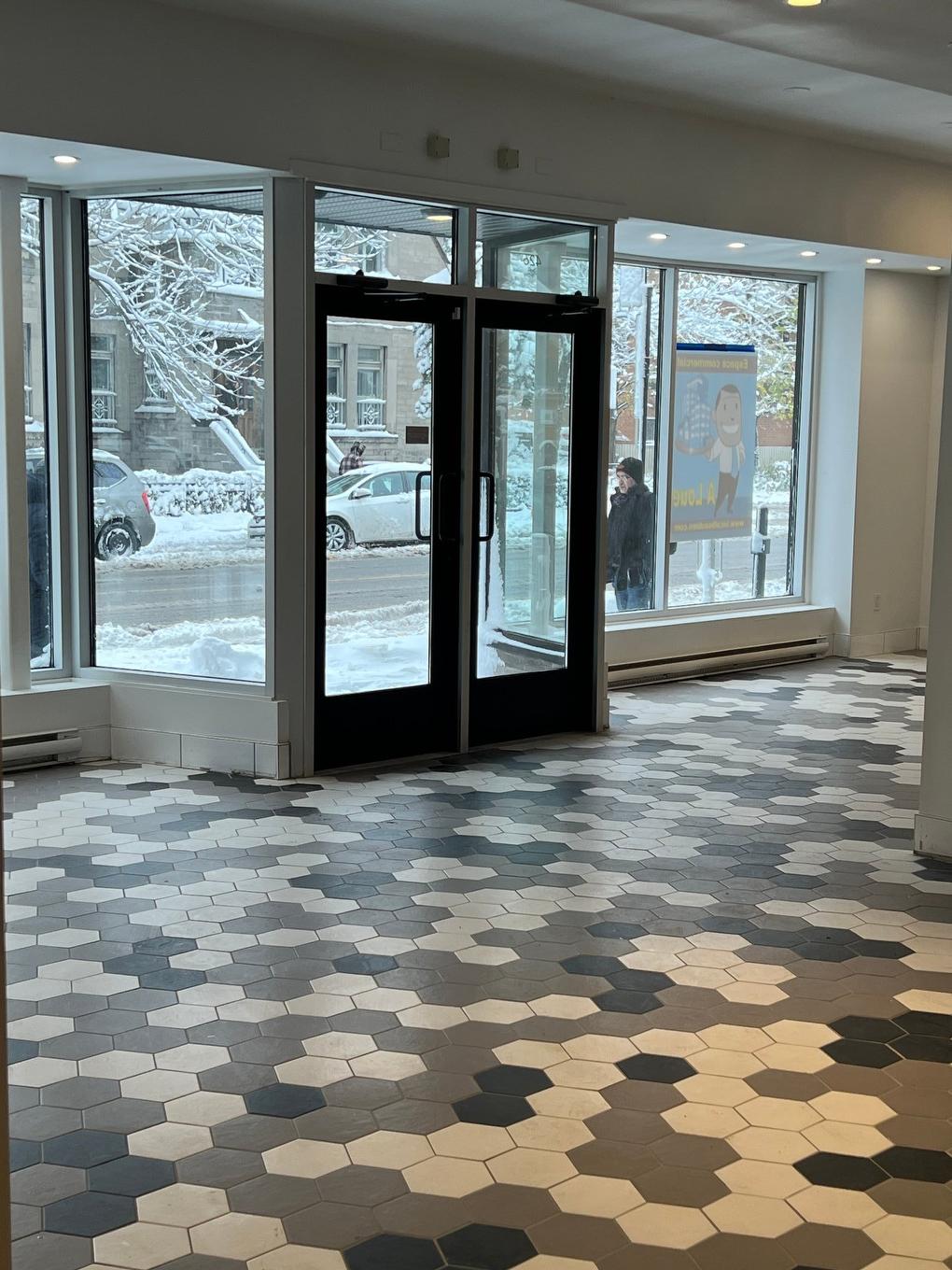 Reception area - 426 Rue Beaubien E., Montréal (Rosemont/La Petite-Patrie), QC