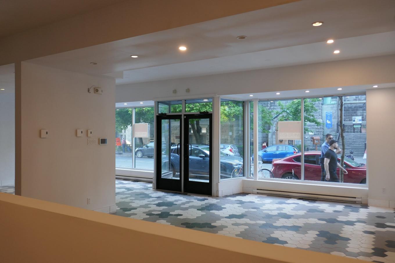 Overall view - 426 Rue Beaubien E., Montréal (Rosemont/La Petite-Patrie), QC