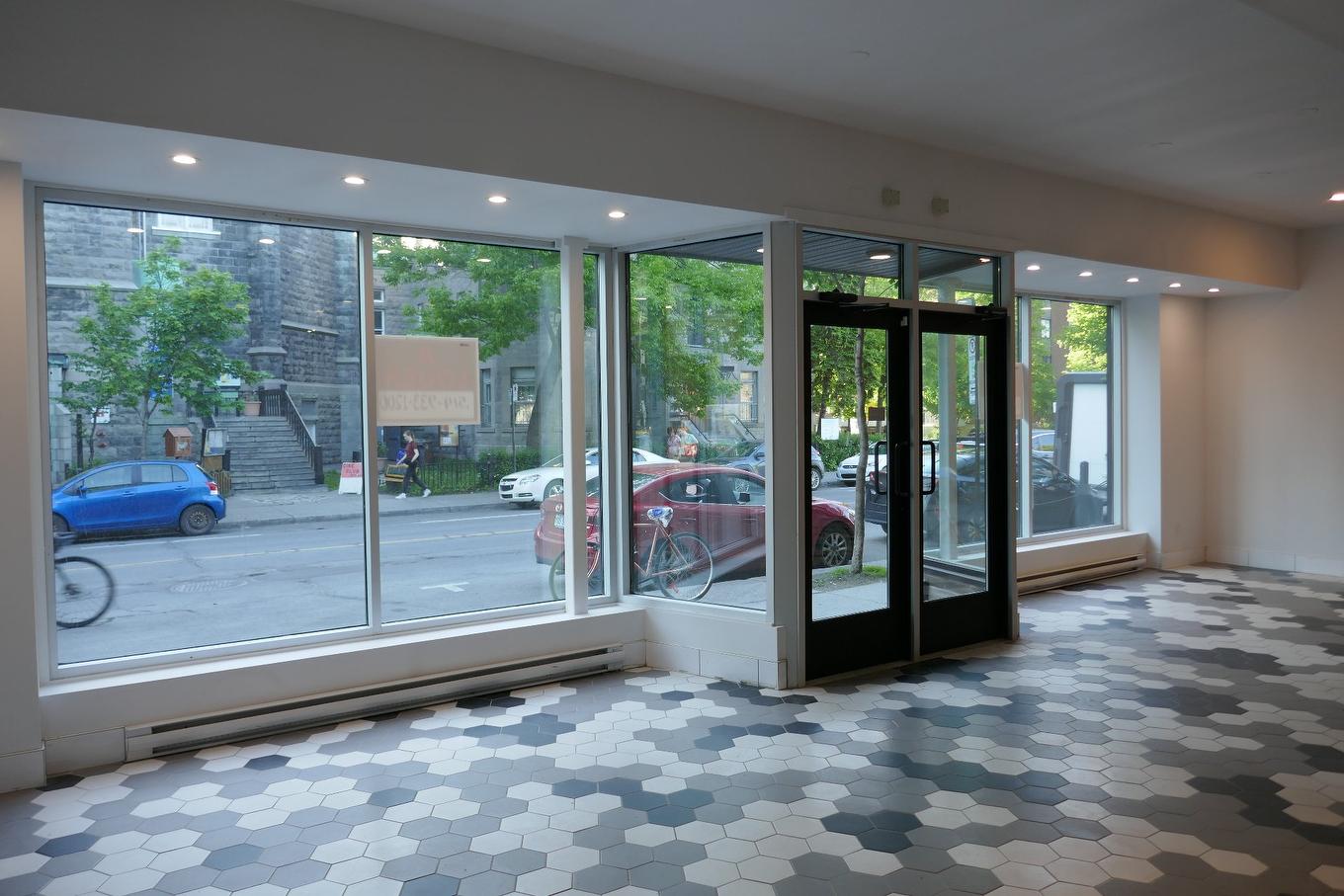 Overall view - 426 Rue Beaubien E., Montréal (Rosemont/La Petite-Patrie), QC