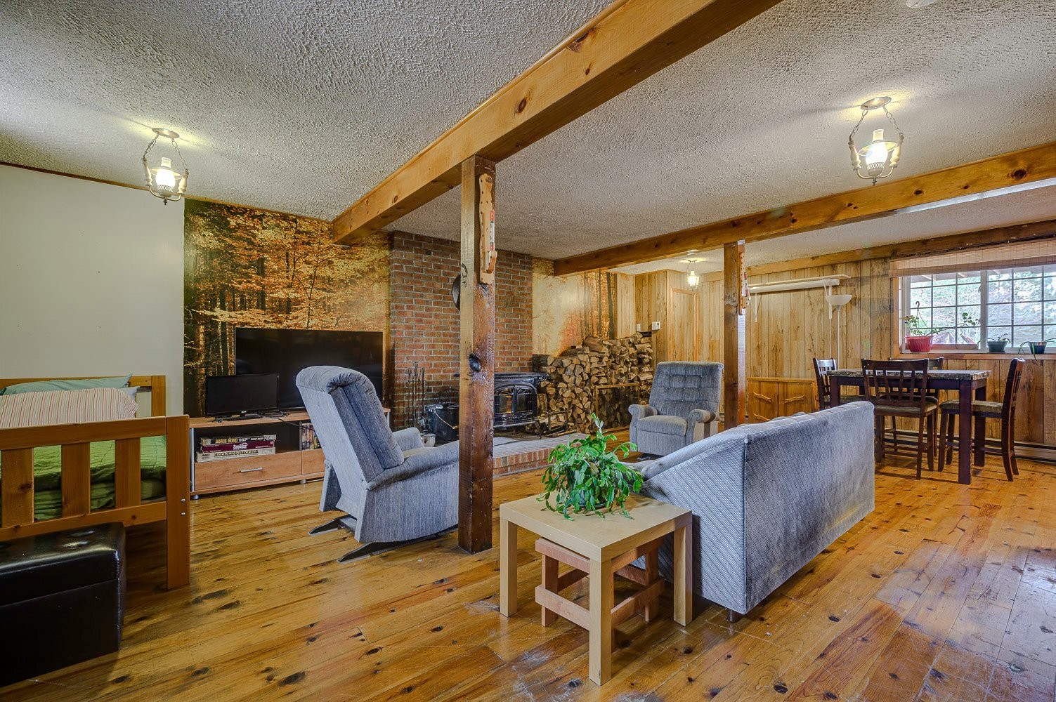 Salle familiale - 449 Ch. Birchwood, Saint-Sauveur, QC - Indoor