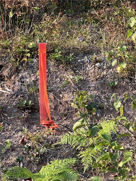 Lot 24-1 Rte 3, Harvey, NB