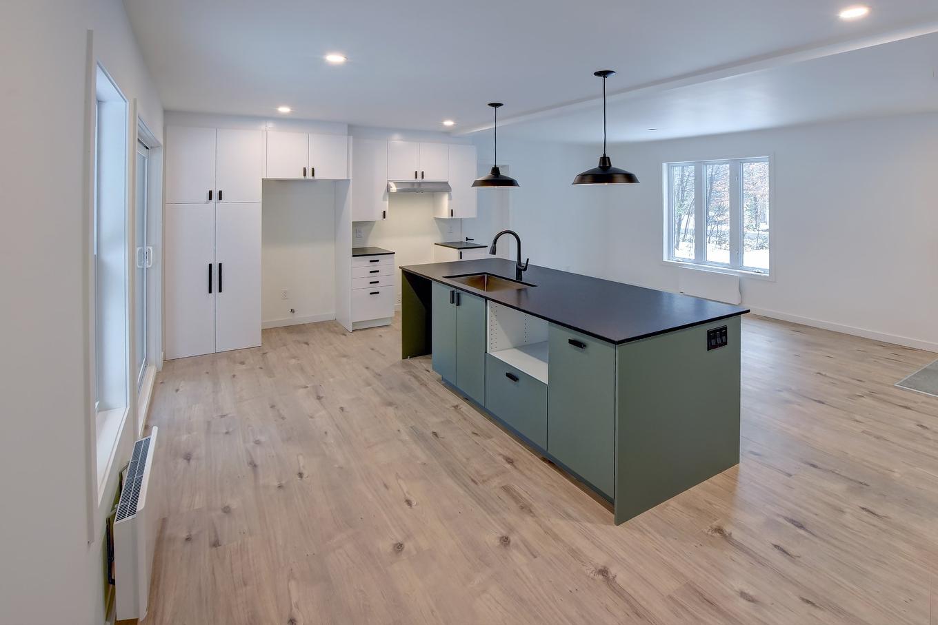 Kitchen - 184 Rue Lajeunesse, Saint-Colomban, QC - Indoor Photo Showing Kitchen
