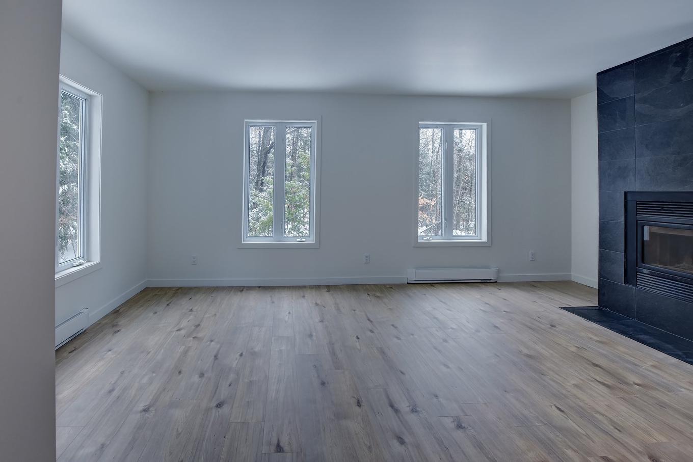 Living room - 184 Rue Lajeunesse, Saint-Colomban, QC - Indoor With Fireplace