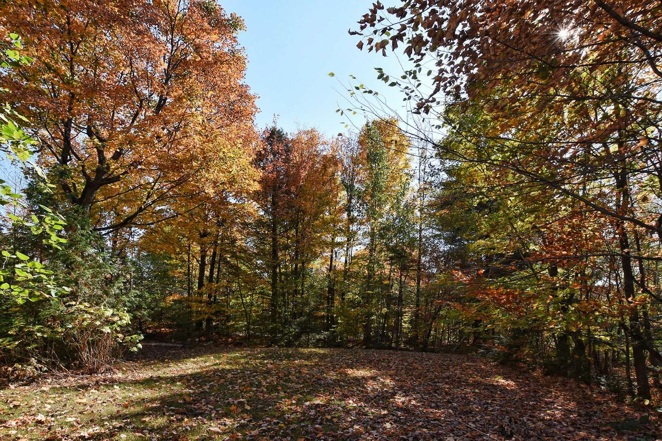 Backyard - 184 Rue Lajeunesse, Saint-Colomban, QC - Outdoor