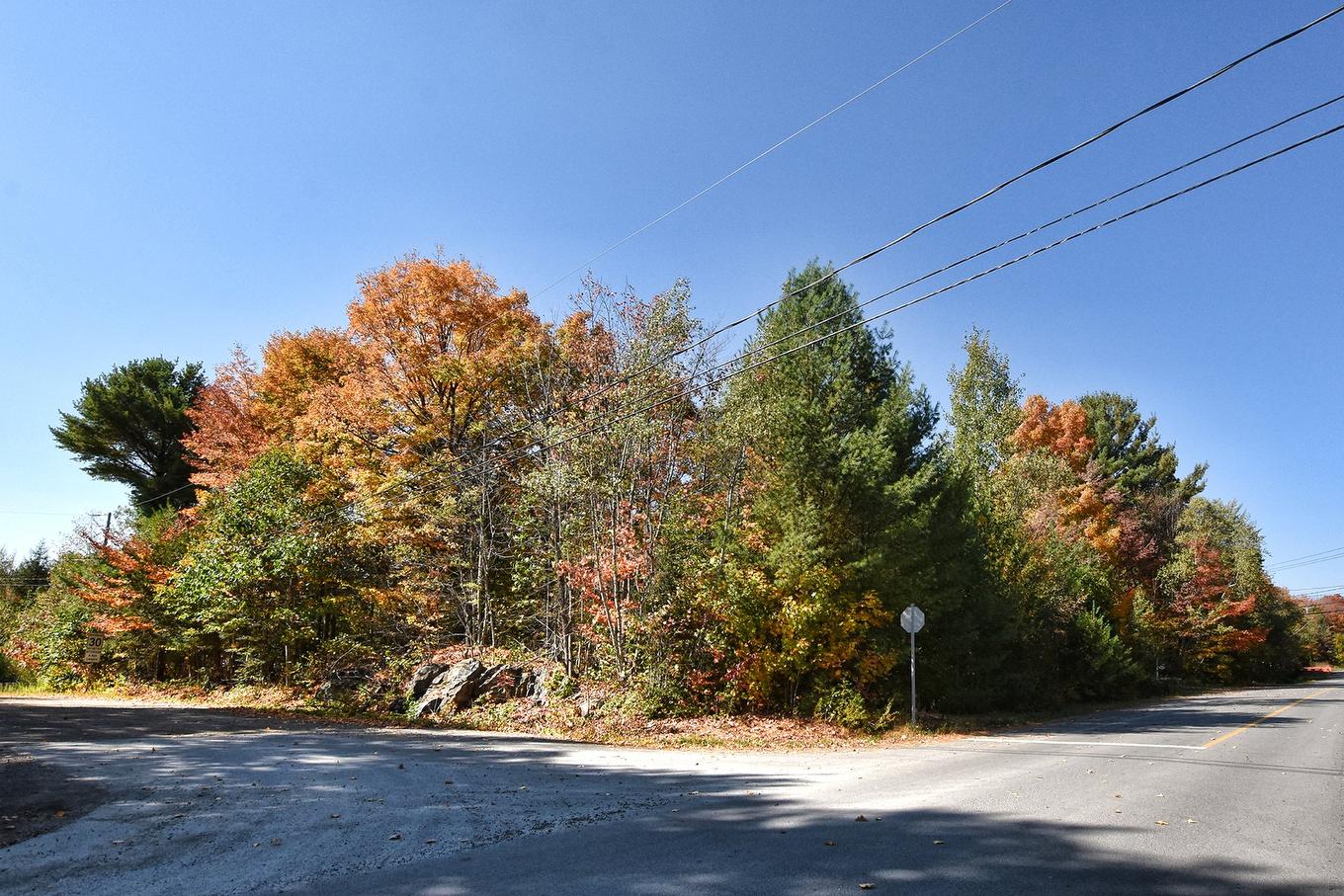 View - 184 Rue Lajeunesse, Saint-Colomban, QC - Outdoor With View