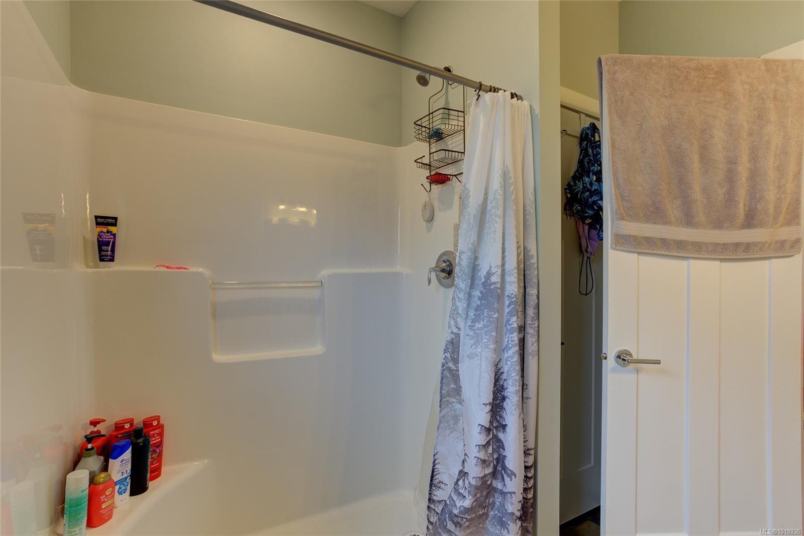 501 Mountain View Dr, Lake Cowichan, BC