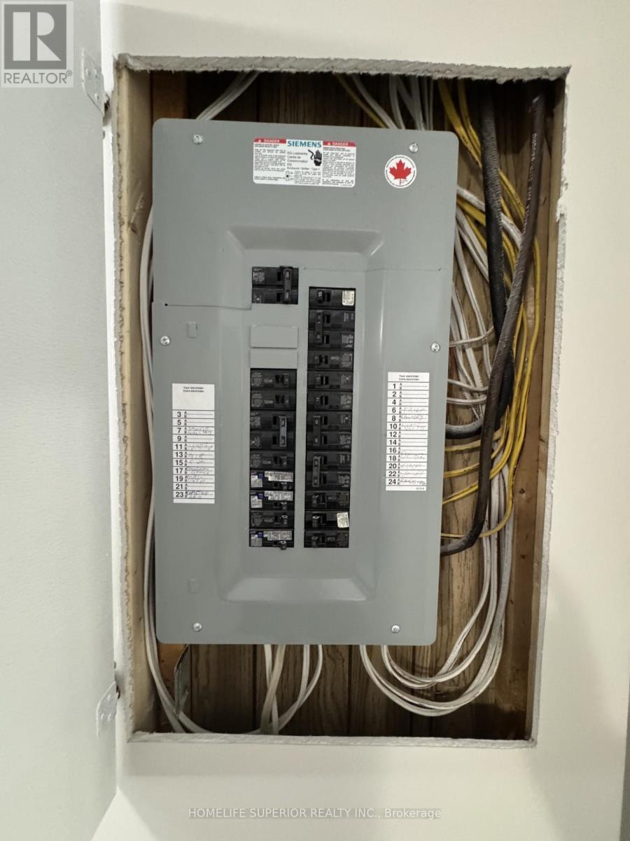 10 Belmont Street, Havelock-Belmont-Methuen (Belmont-Methuen), ON - Indoor Photo Showing Basement