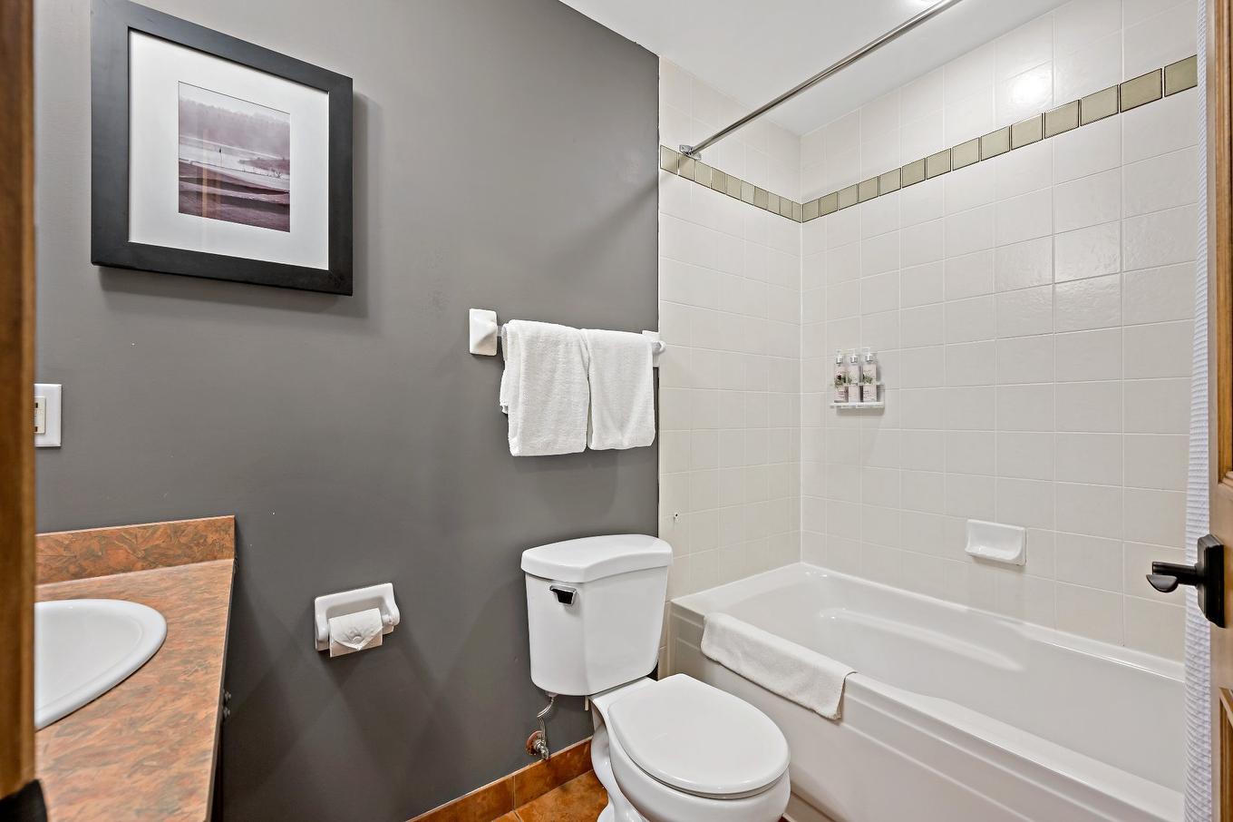 Bathroom - 20-2396 Rue Labelle, Mont-Tremblant, QC - Indoor Photo Showing Bathroom