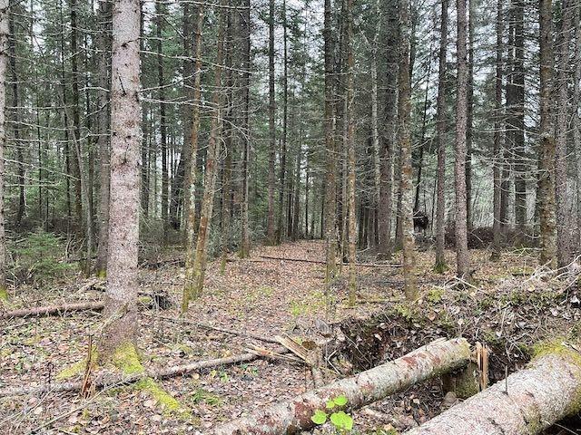 100 Acres Parcel 7576, District Of Kenora, ON