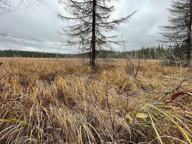 100 Acres Parcel 7576, District Of Kenora, ON