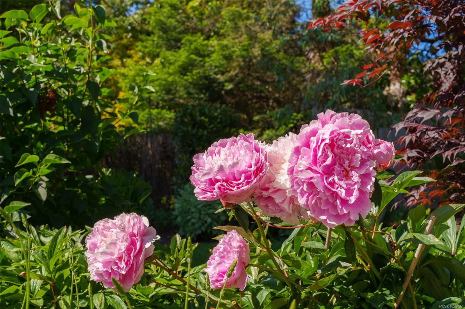 2780 Arbutus Rd, Saanich, BC