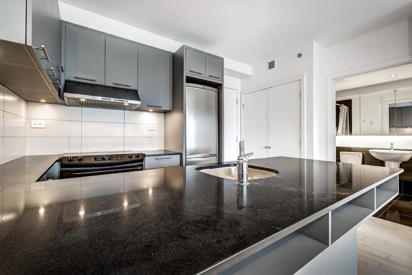 Kitchen - 1950-1414 Rue Chomedey, Montréal (Ville-Marie), QC - Indoor Photo Showing Kitchen With Upgraded Kitchen