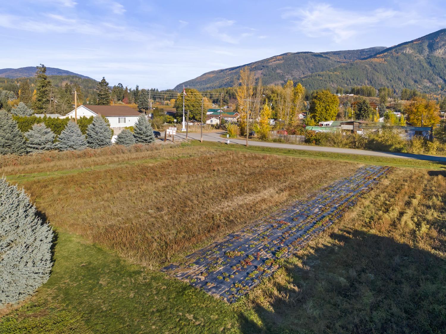 409 33Rd Avenue, Erickson, BC - Outdoor With View