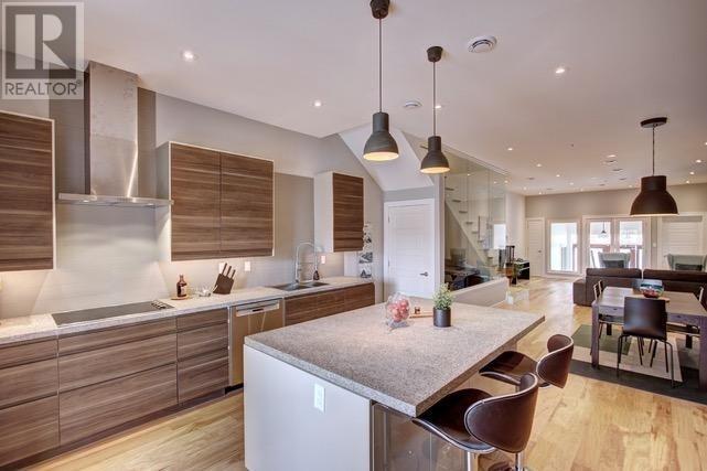 42 Brine Street, St. John'S, NL - Indoor Photo Showing Kitchen With Upgraded Kitchen