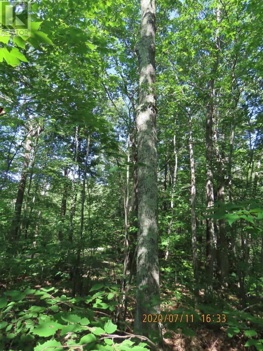 Lots 17-20 S And T Line Rd, Hilton Twp St Joseph Island, ON