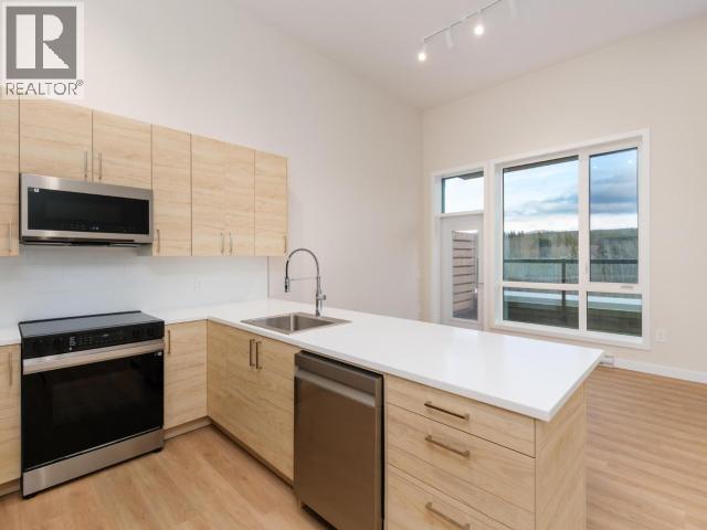 301-202 Lowe Street, Whitehorse, YT - Indoor Photo Showing Kitchen