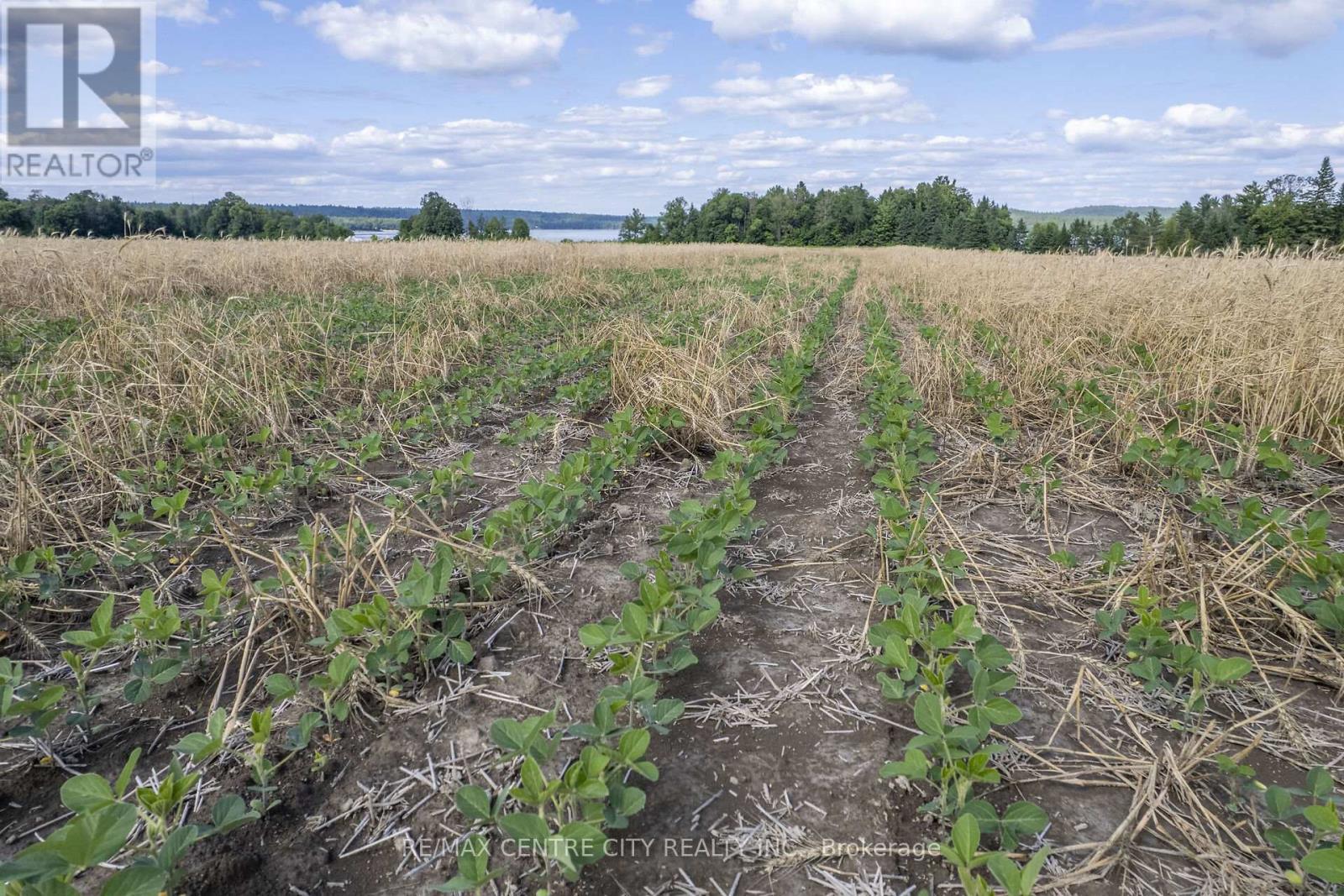 Pt Lts 38 & 39 Conc 9, Whitewater Region, ON