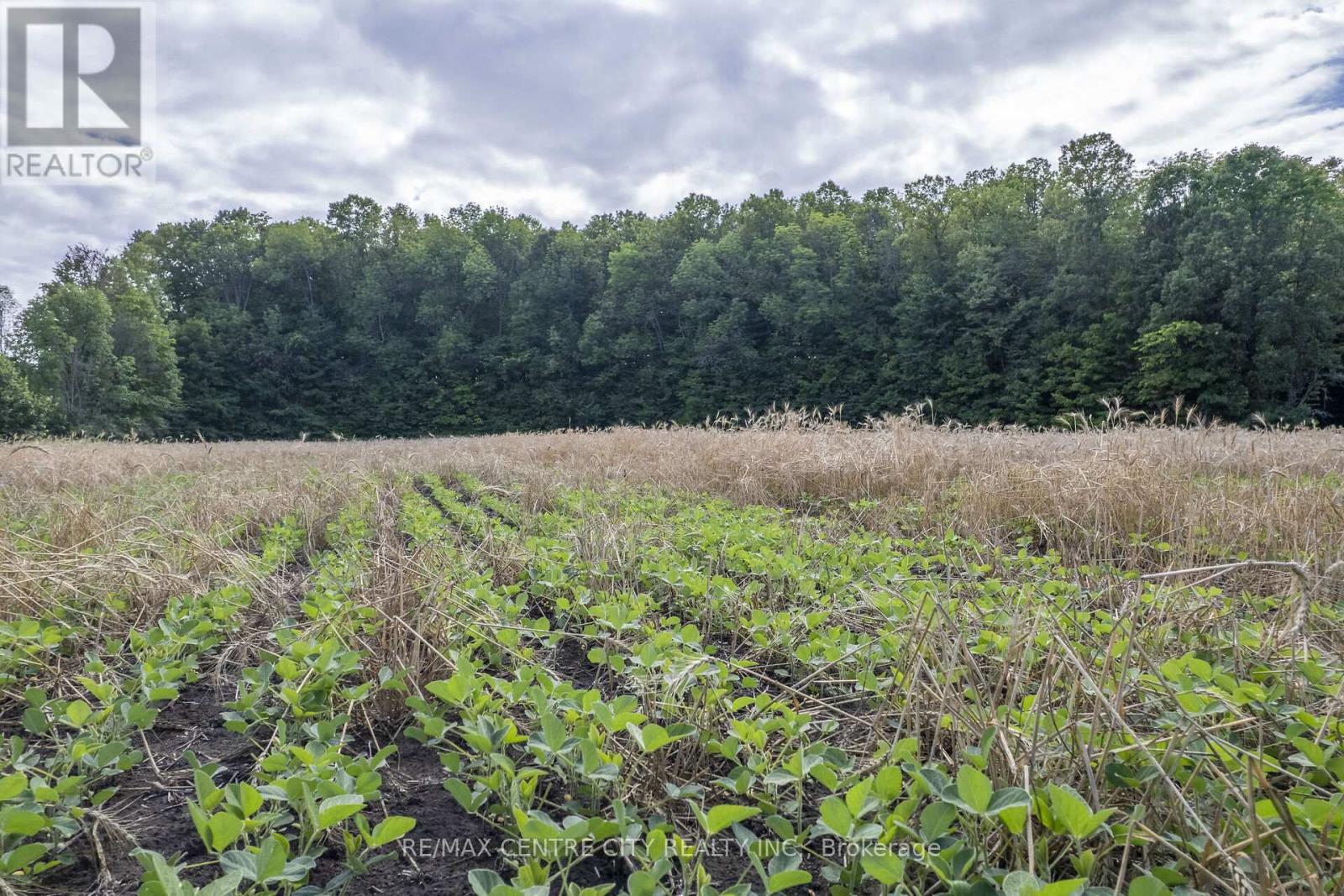 Pt Lts 38 & 39 Conc 9, Whitewater Region, ON