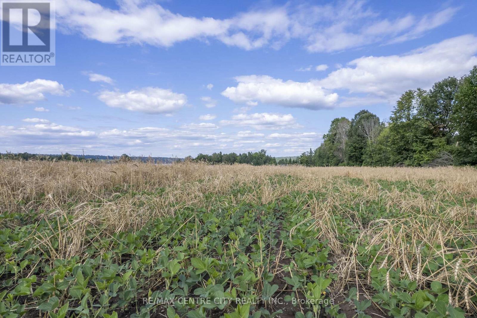 Pt Lts 38 & 39 Conc 9, Whitewater Region, ON