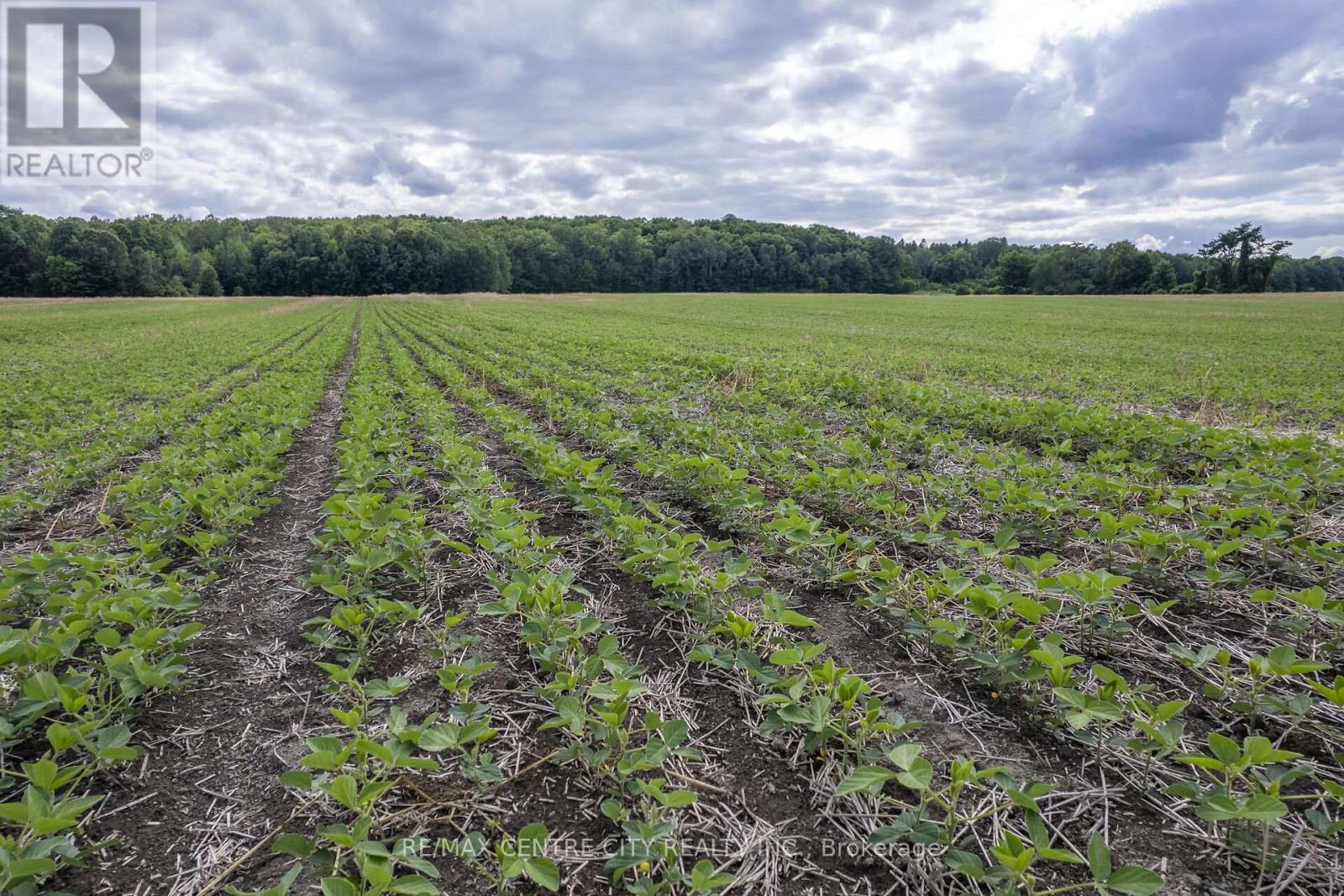 Pt Lts 38 & 39 Conc 9, Whitewater Region, ON