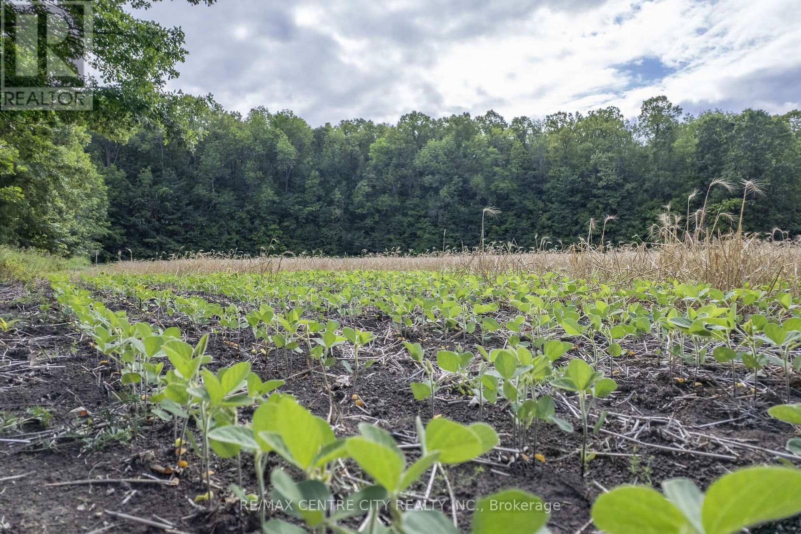 Pt Lts 38 & 39 Conc 9, Whitewater Region, ON