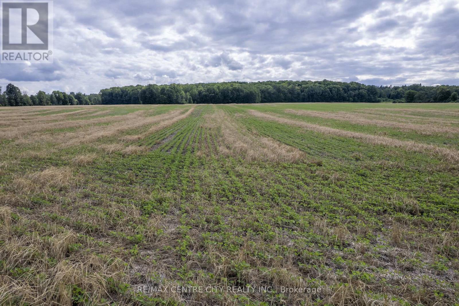 Pt Lts 38 & 39 Conc 9, Whitewater Region, ON