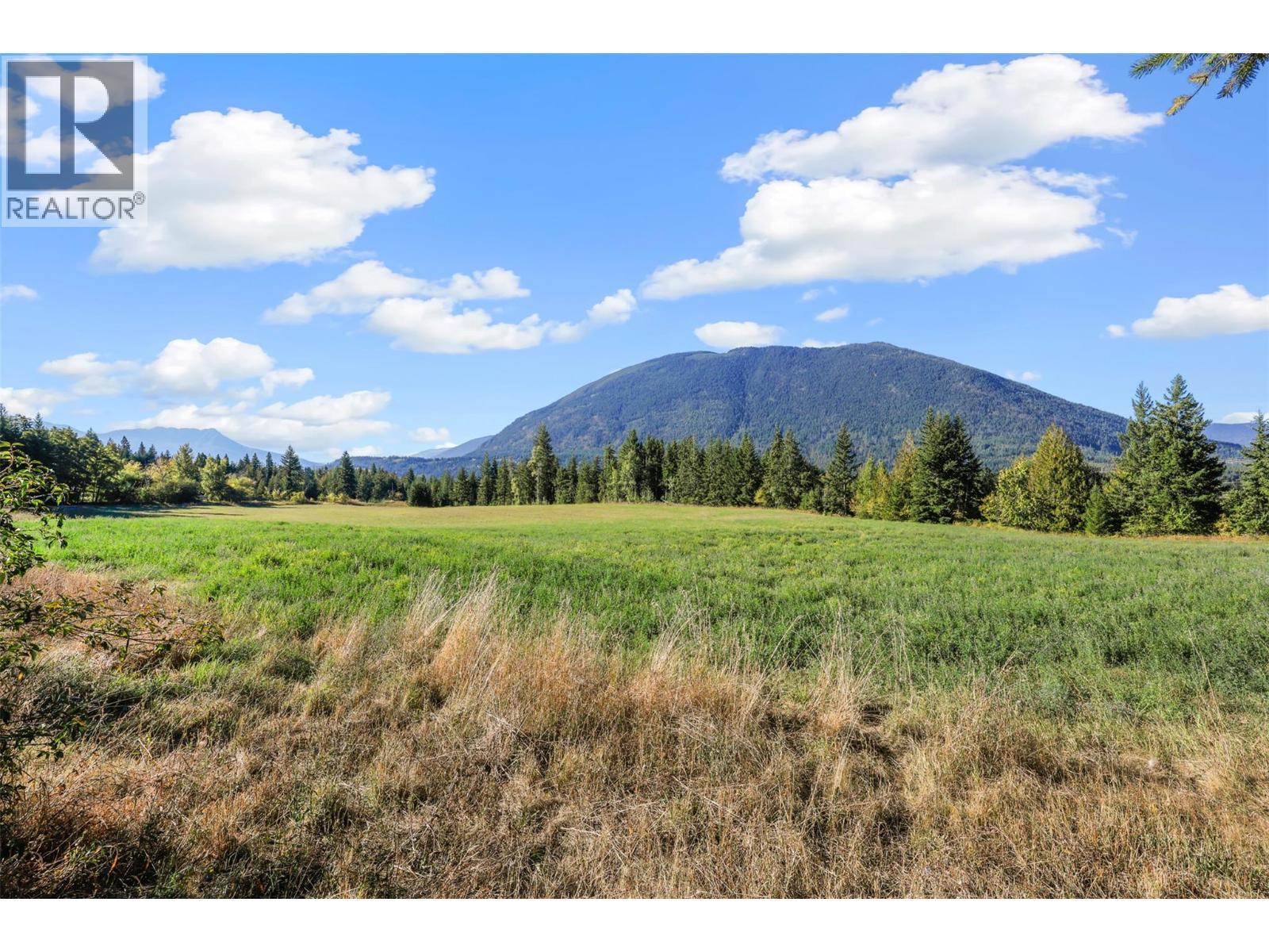 1012 Addison Road, Tappen, BC - Outdoor With View