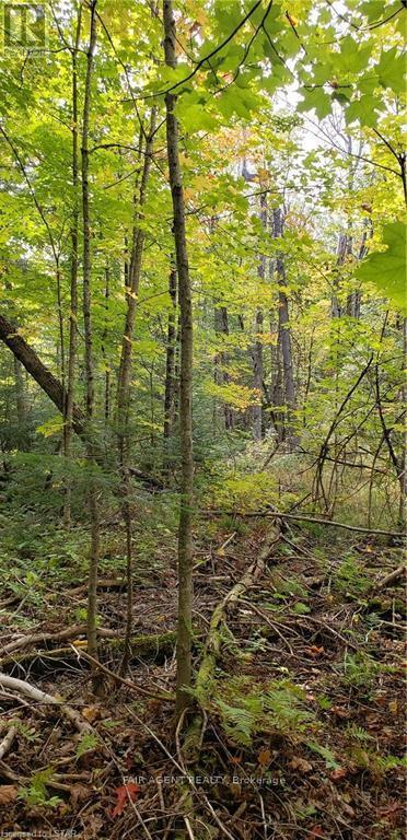 3339 Highway 534, Nipissing, ON