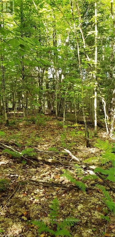 3339 Highway 534, Nipissing, ON