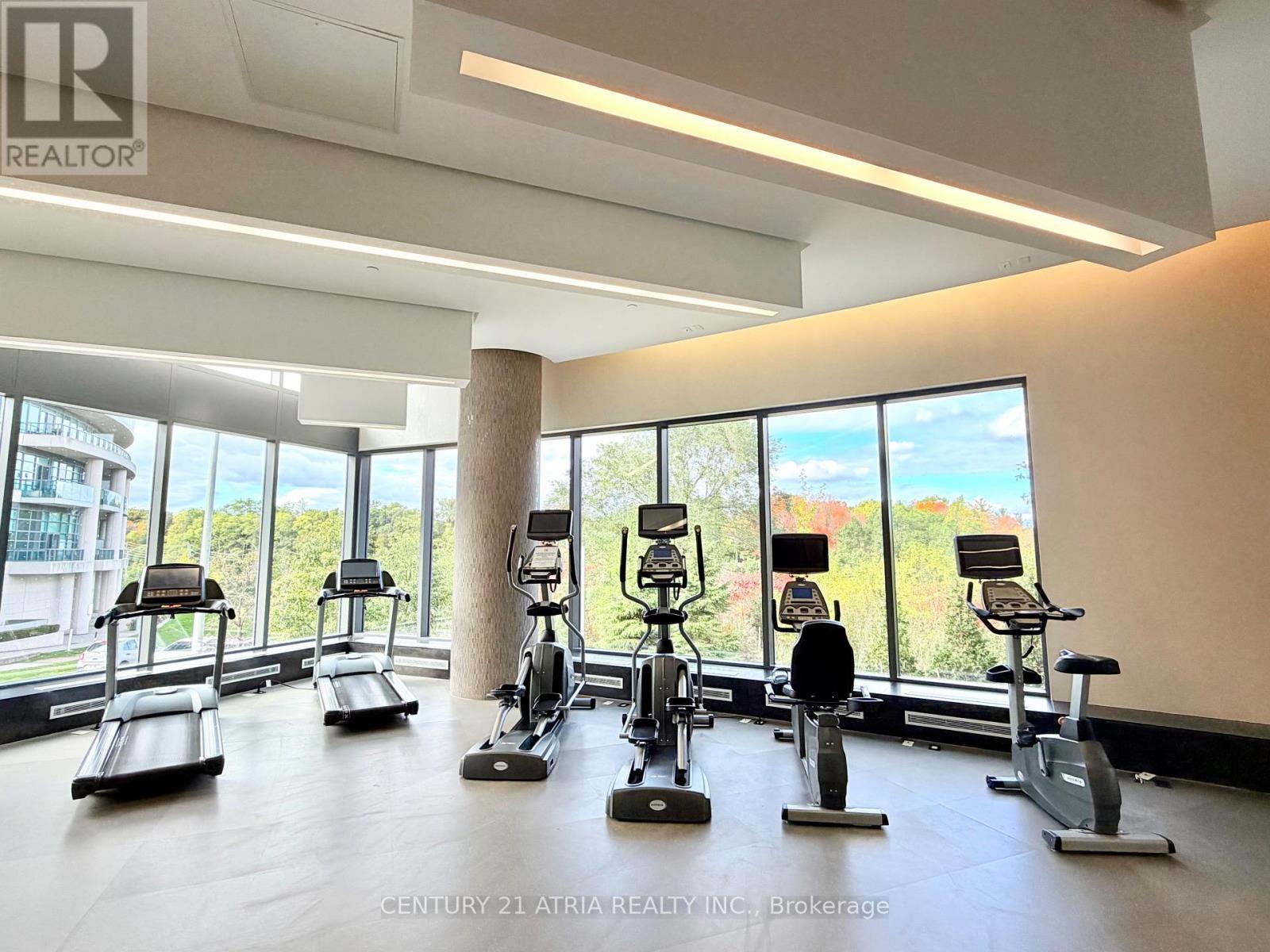 201 - 160 Vanderhoof Avenue, Toronto, ON - Indoor Photo Showing Gym Room