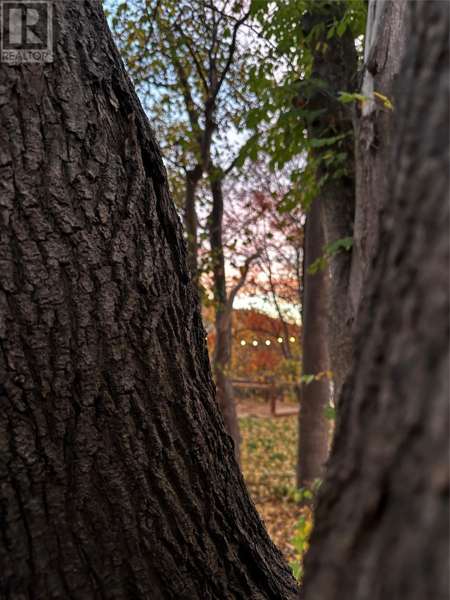 7 Waterford Bridge Road Unit#200, St. John'S, NL