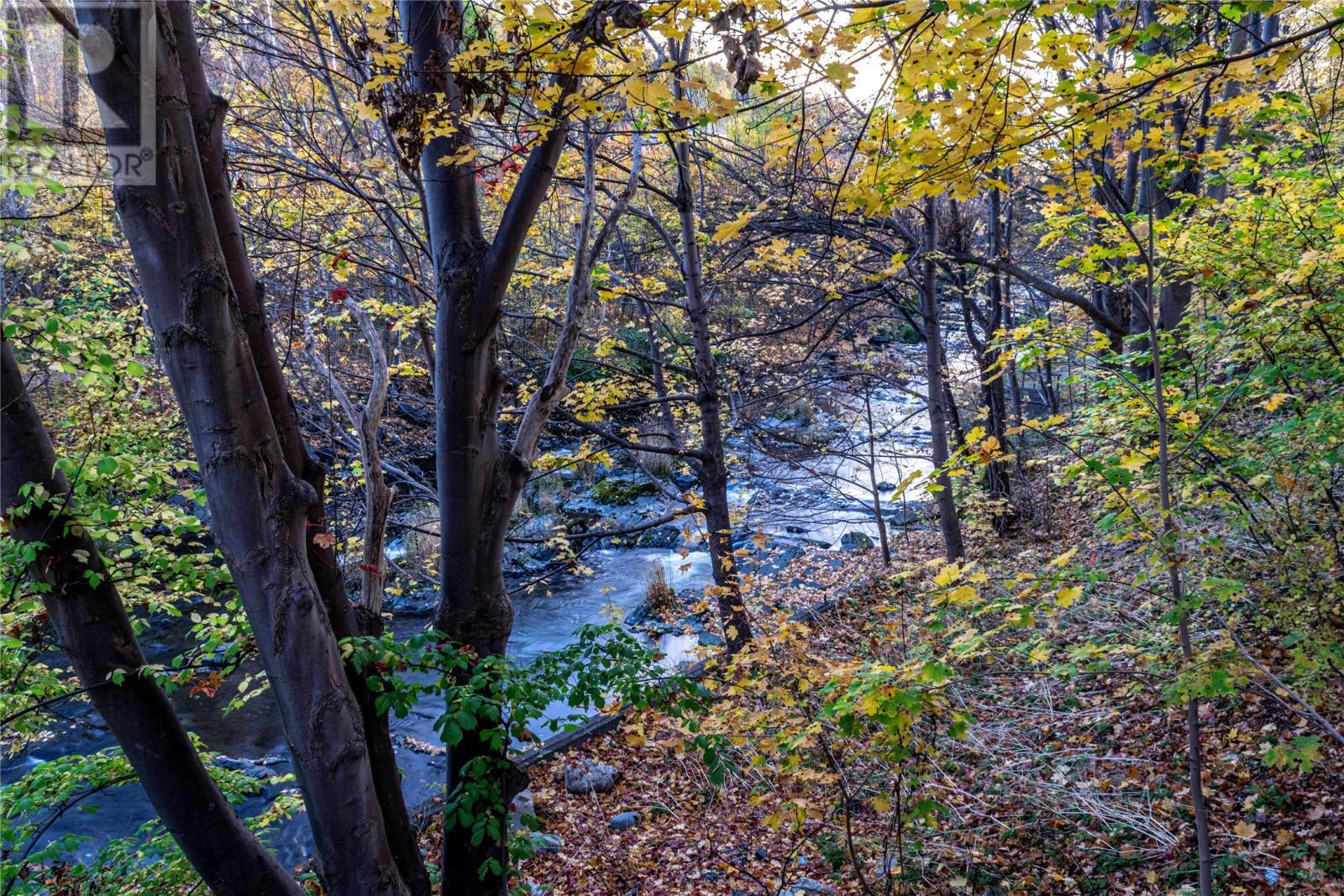 7 Waterford Bridge Road Unit#200, St. John'S, NL