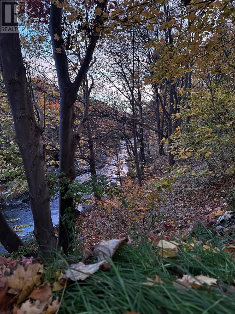 7 Waterford Bridge Road Unit#200, St. John'S, NL