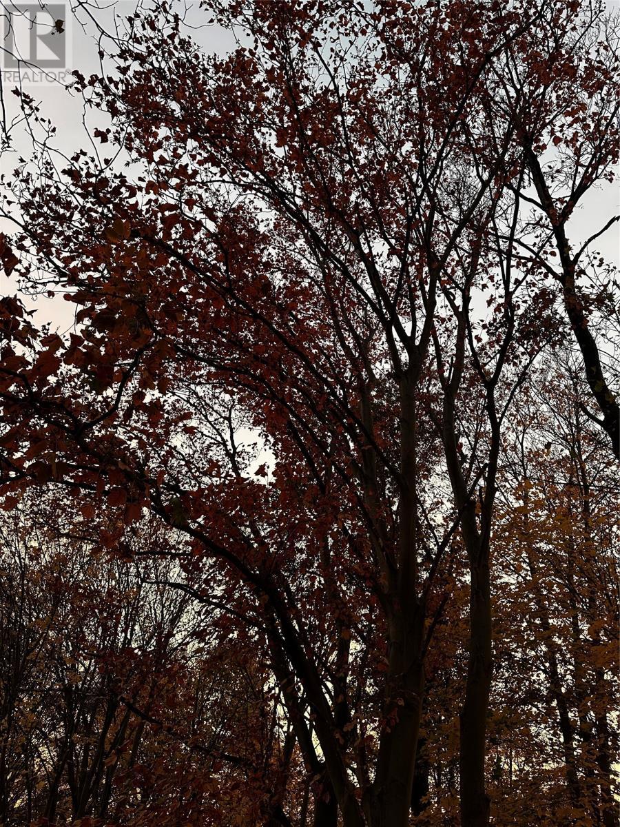 7 Waterford Bridge Road Unit#200, St. John'S, NL