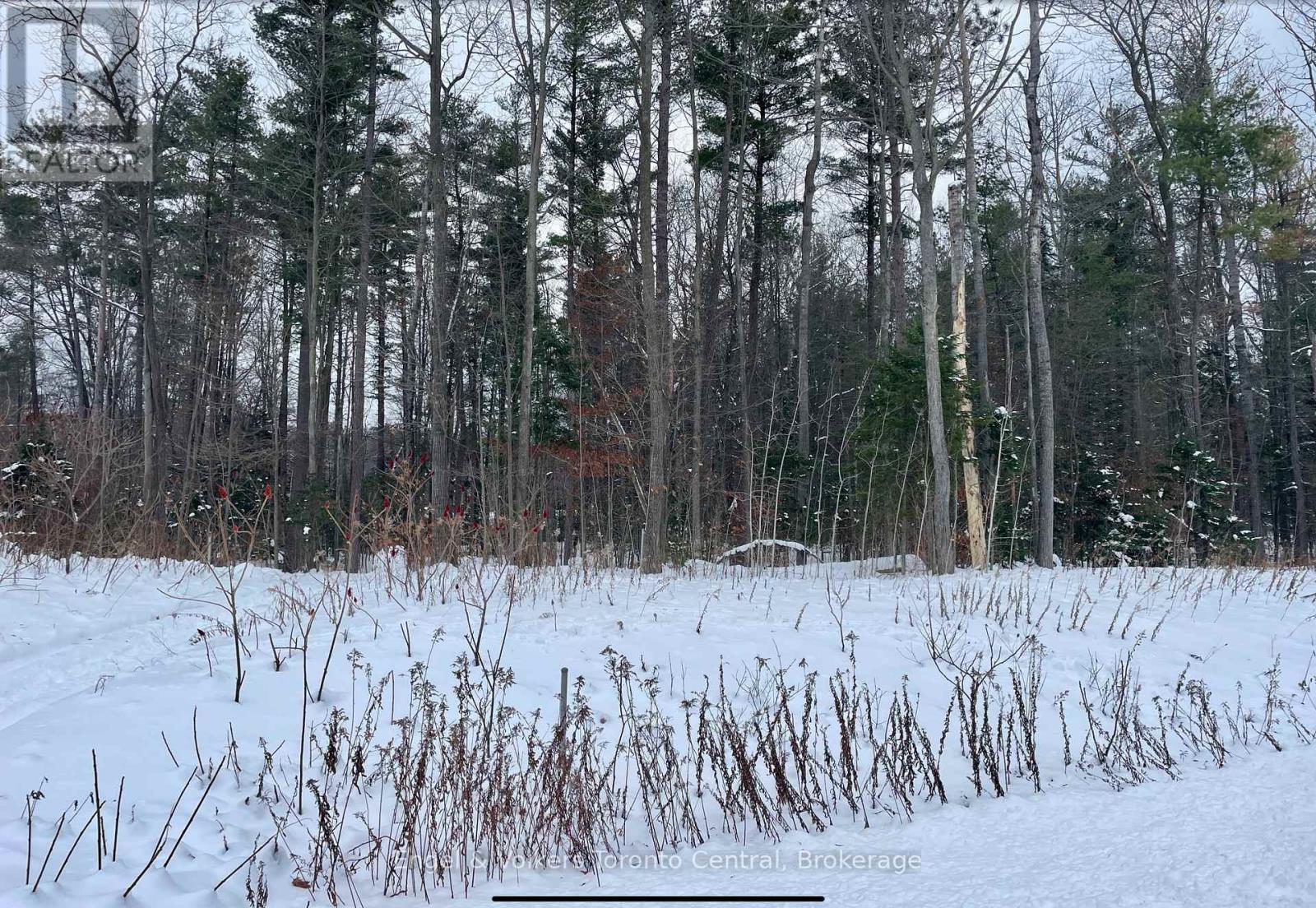 Lot 5 Algonquin Trail, Tiny, ON