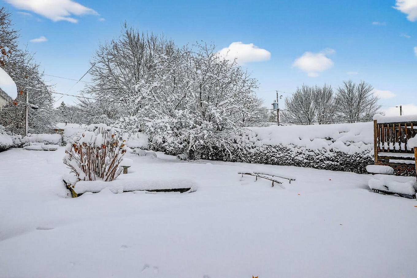 Backyard - 420 Rue Van Horne, Saint-Bruno-De-Montarville, QC - Outdoor