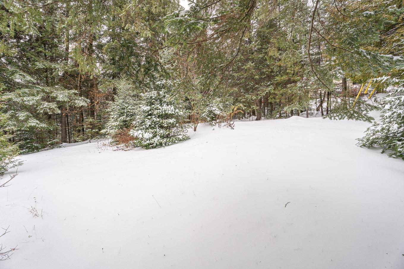 Cour - 5 Rue Du Domaine-Denis, Sainte-Marguerite-Du-Lac-Masson, QC - Outdoor