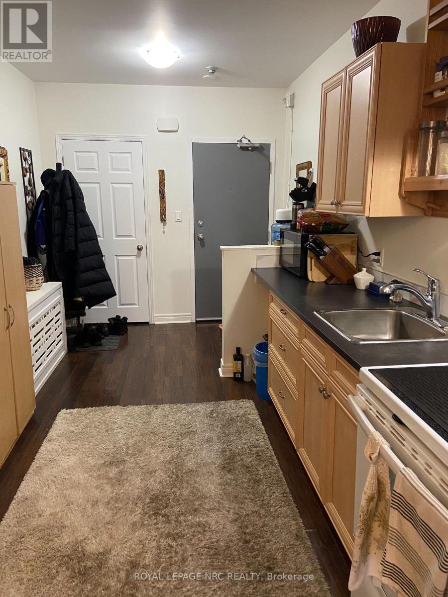 2 - 244 Ontario Street, St. Catharines (Downtown), ON - Indoor Photo Showing Kitchen With Double Sink