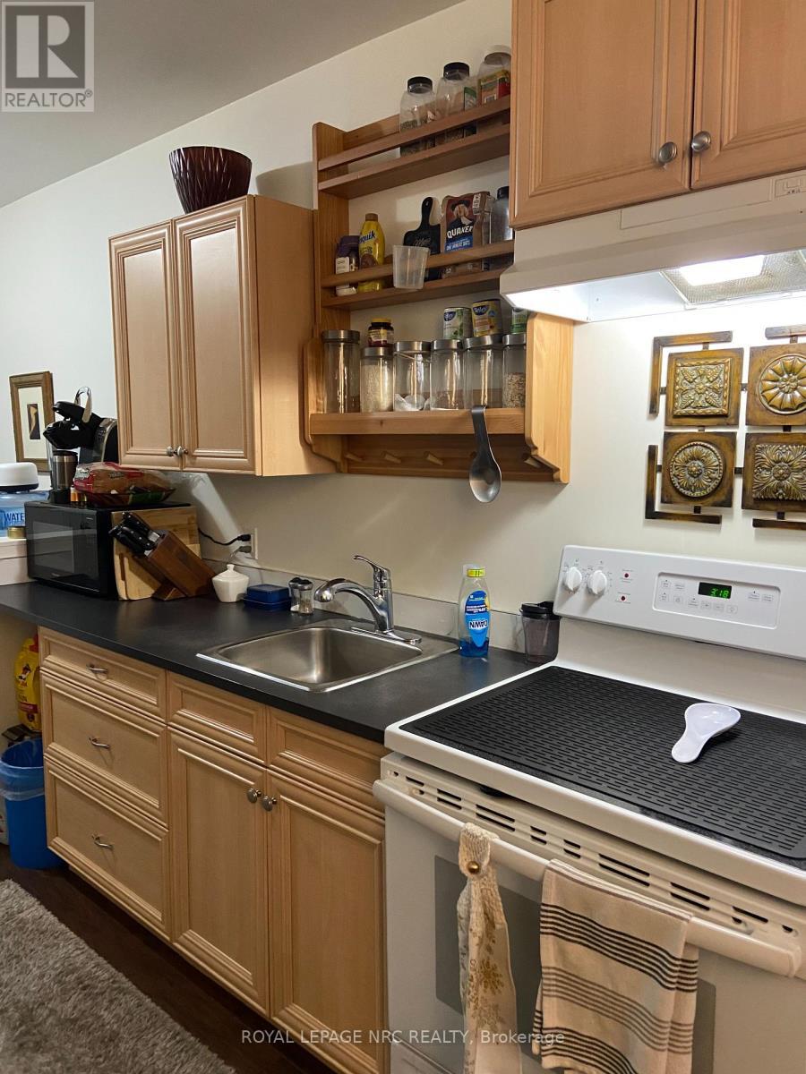 2 - 244 Ontario Street, St. Catharines (Downtown), ON - Indoor Photo Showing Kitchen With Double Sink