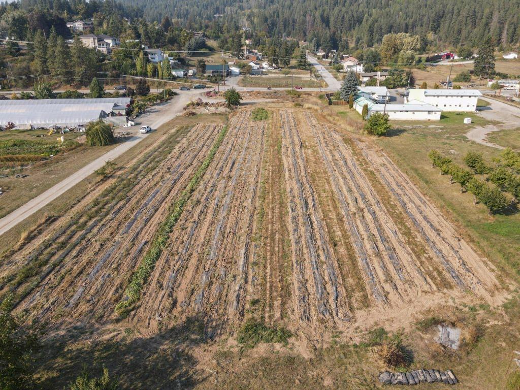 2619 3 Highway, Erickson, BC - Outdoor With View