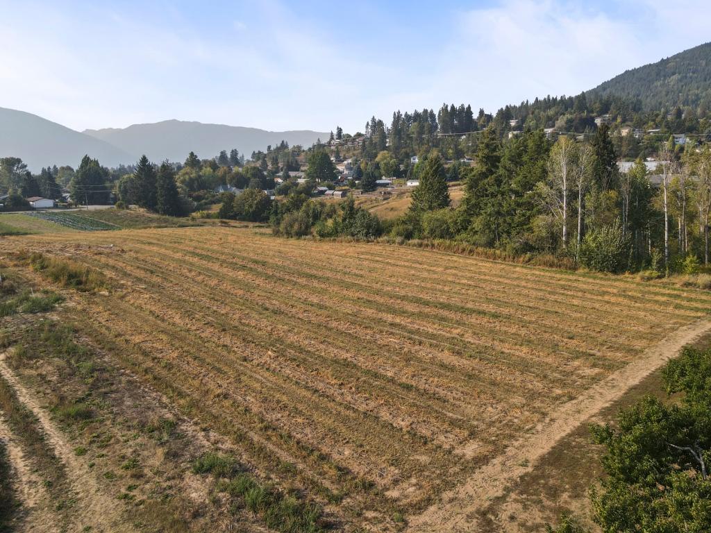 2619 3 Highway, Erickson, BC - Outdoor With View