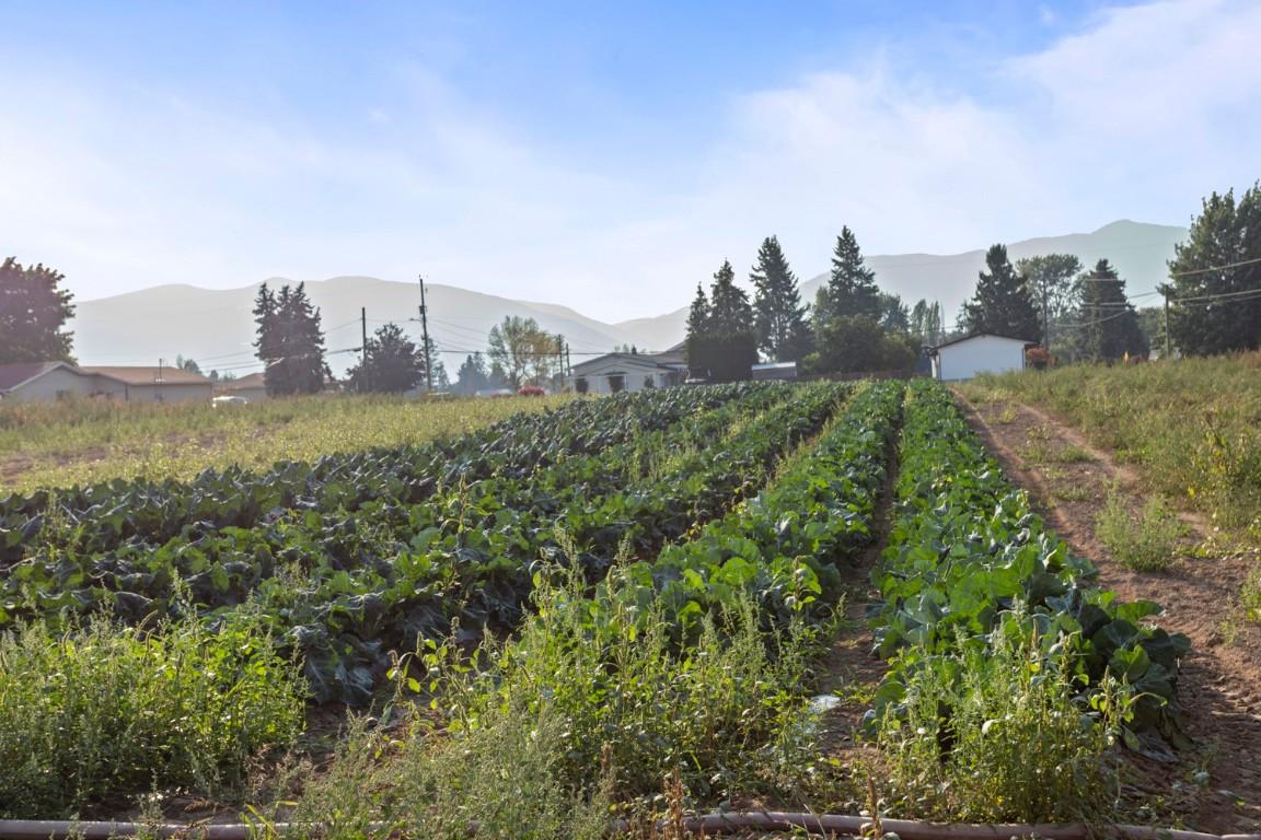 2619 3 Highway, Erickson, BC - Outdoor With View