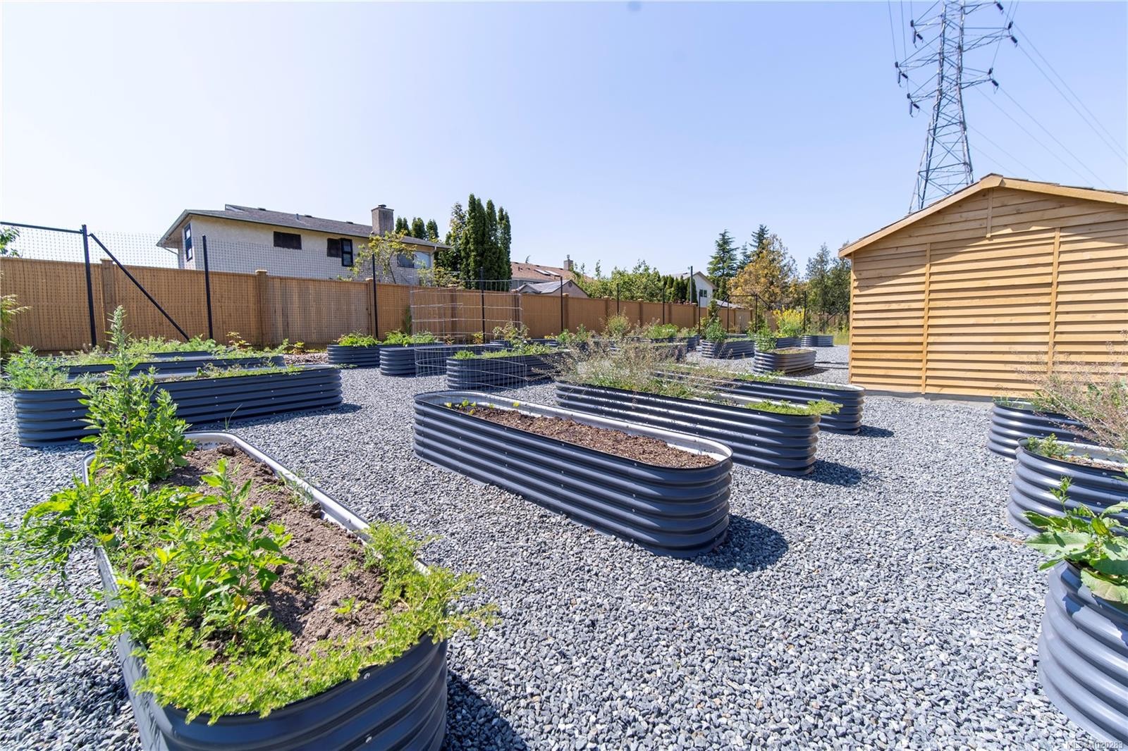 11-4253 Dieppe Rd, Saanich, BC