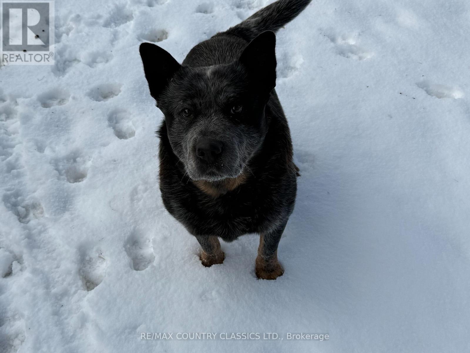 219 Comerford Road S, Brudenell, Lyndoch And Raglan, ON