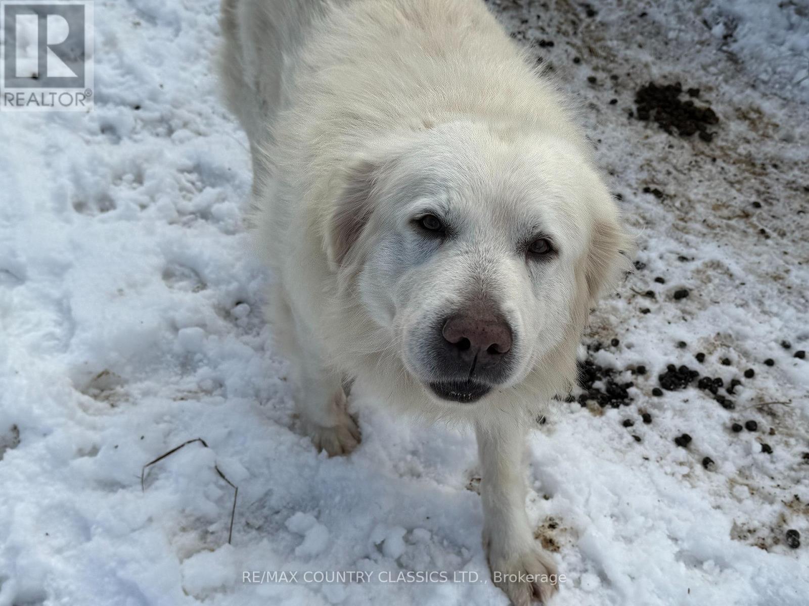 219 Comerford Road S, Brudenell, Lyndoch And Raglan, ON