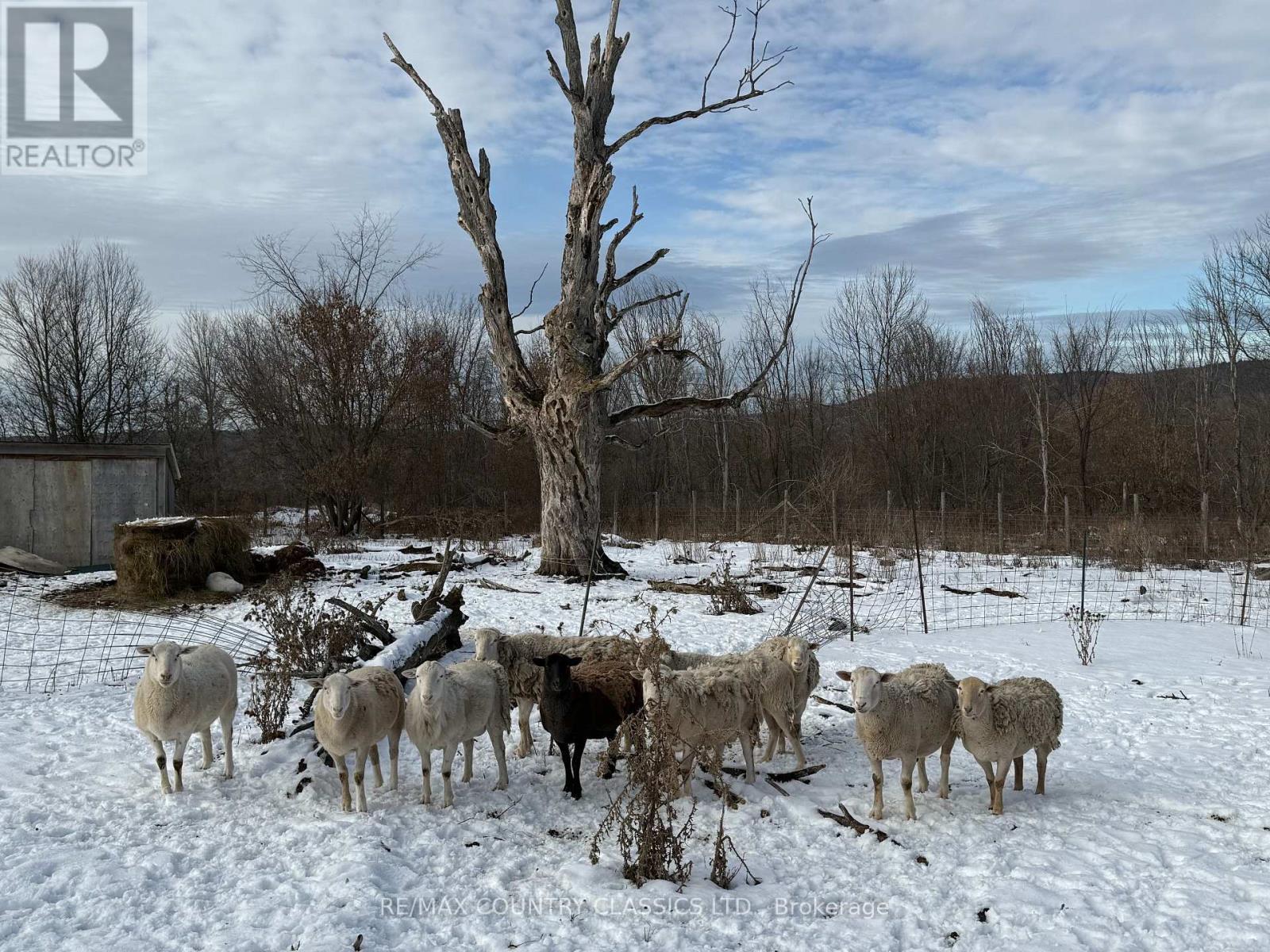 219 Comerford Road S, Brudenell, Lyndoch And Raglan, ON